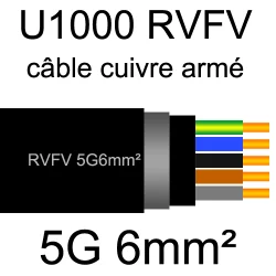 câble électrique armé renforcé âme cuivre U1000 RVFV 5 conducteurs section 6mm²