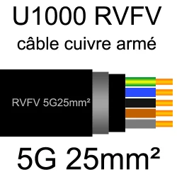 câble électrique armé renforcé âme cuivre U1000 RVFV 5 conducteurs section 25mm²