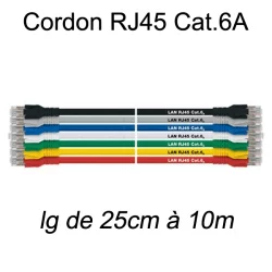 Câble Ethernet RJ45 cat 6a 25cm bleu