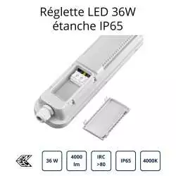 Détail de Réglette LED 36W 120cm étanche IP65 BL11366508 BE-LED