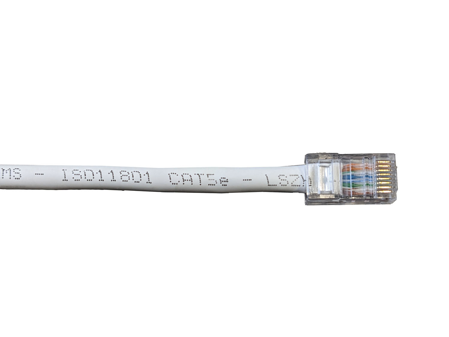 connecteur RJ45 serti sur câble réseau gris